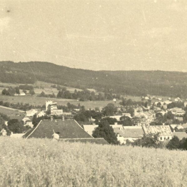 pohled na Svratku z Farského kopce, 21.8.1950