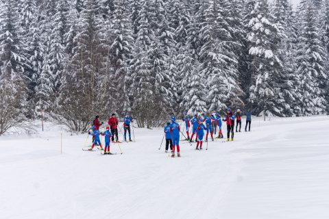 Foto: Roman Šulc